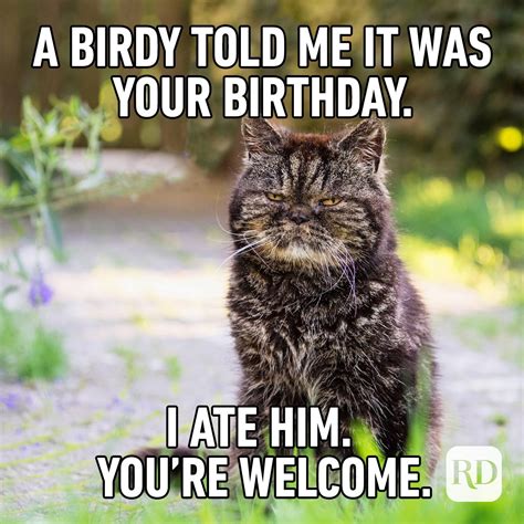 geburtstag memes|Happy Birthday Memes GIFs